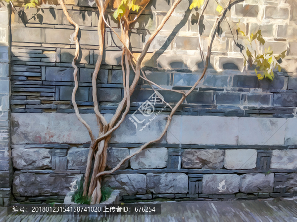 墻角枯藤