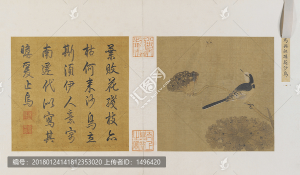 宋人畫疏荷沙鳥圖頁