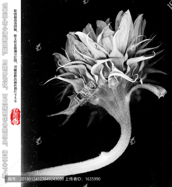 原創(chuàng)現代簡約藝術裝飾畫
