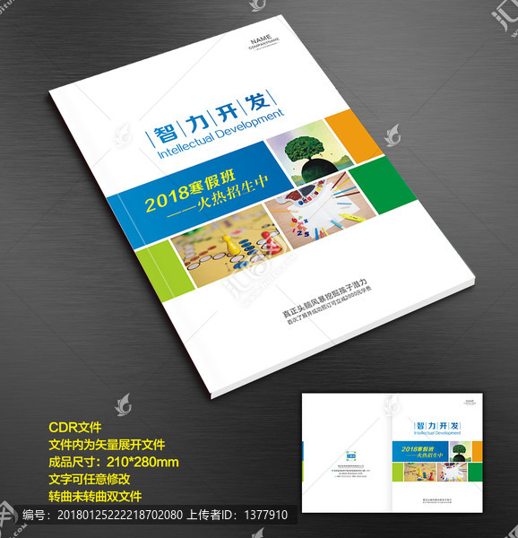 智力開發(fā)輔導(dǎo)班培訓(xùn)班封面