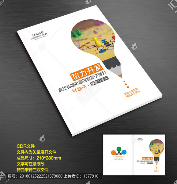智力開發(fā)輔導(dǎo)班培訓(xùn)班封面
