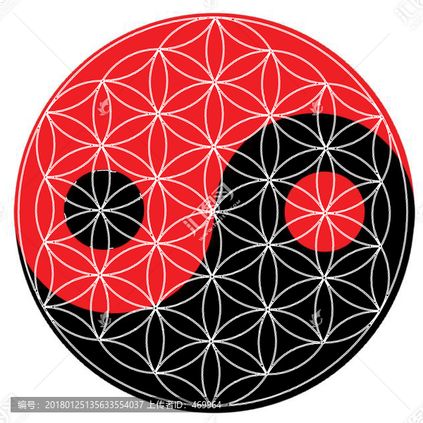 太極八卦生命之花