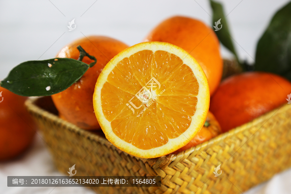 高清水果脐橙摄影