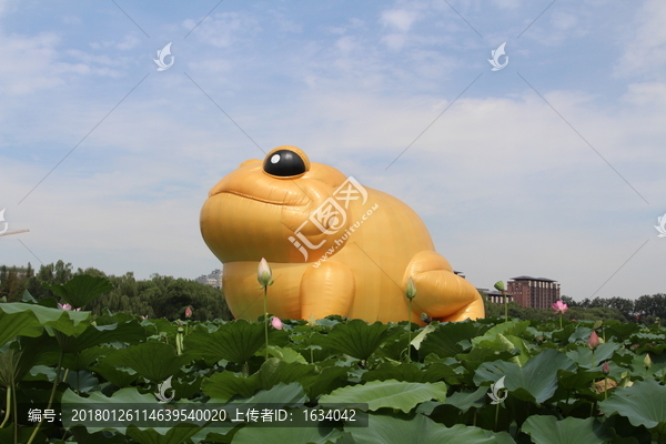 玉淵潭金蟾