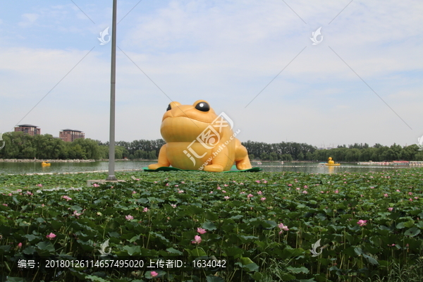 玉淵潭金蟾