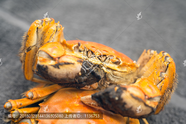 熟螃蟹
