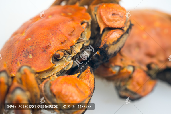 太湖蟹