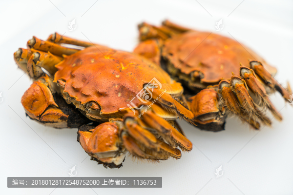 太湖蟹