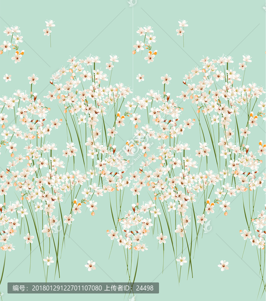 手绘小花,水彩小花,白色花朵