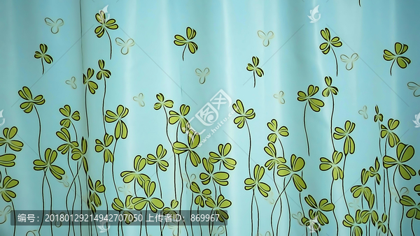 三葉草插圖