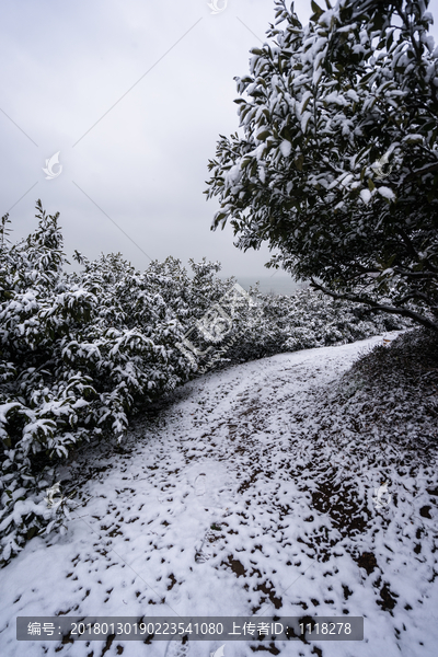 山村雪景