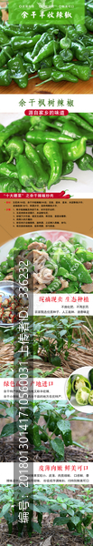 辣椒詳情頁