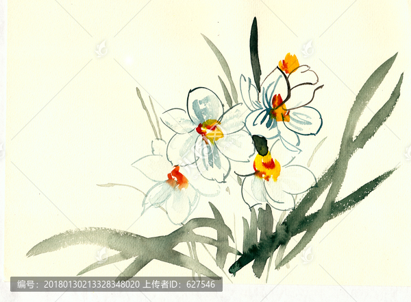 春天水仙花