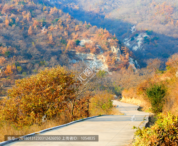 山村小路