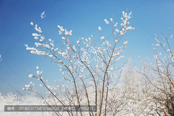 雾凇雪挂