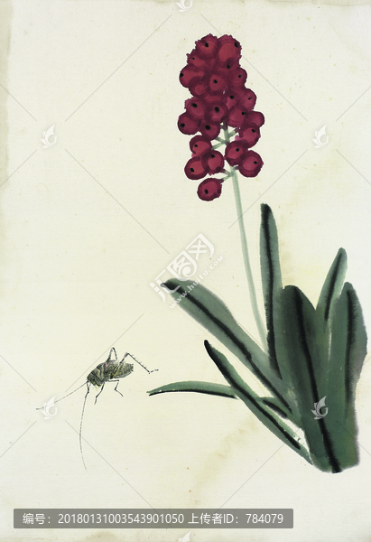 齊白石,蟲草國畫