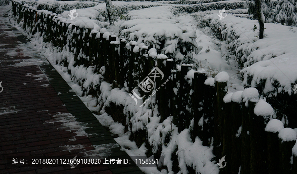 雪景