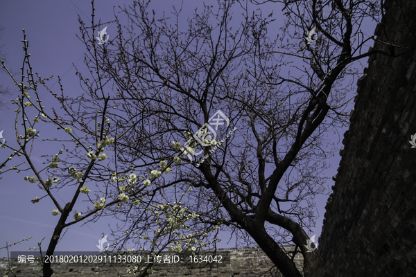 明城墻遺址