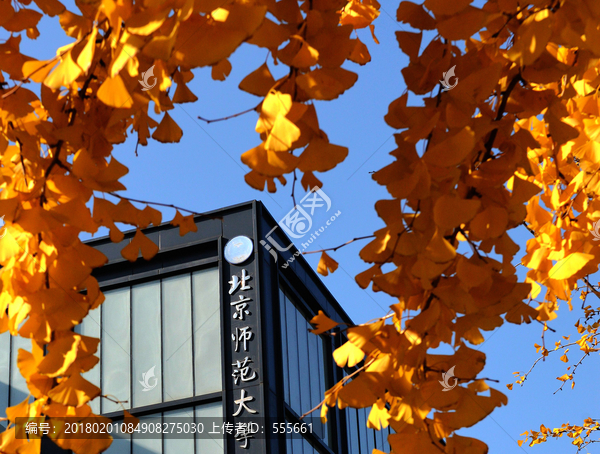 北京师范大学