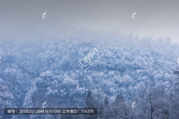 雪景