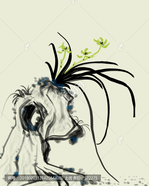 石頭蘭花,水墨畫國畫
