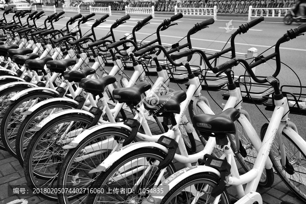 自行车,排放整齐,黑白