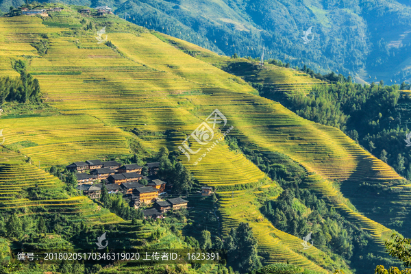 龙脊梯田