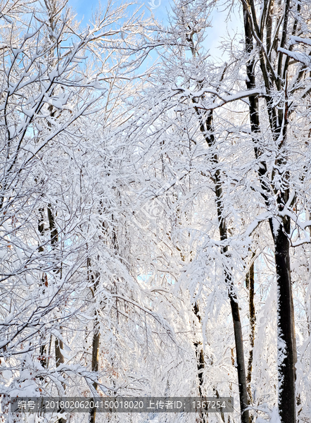 山林积雪,雾凇景色,冬季无框画