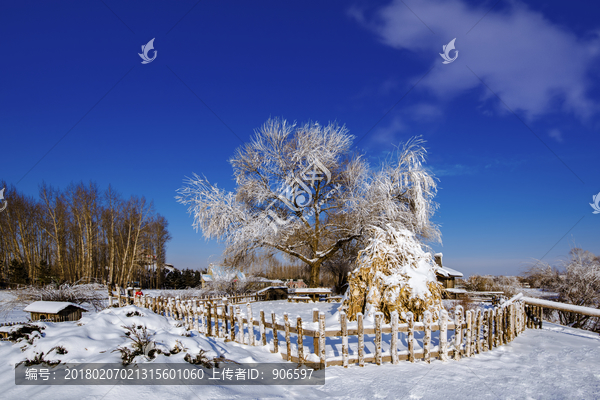 东北农家院雪景