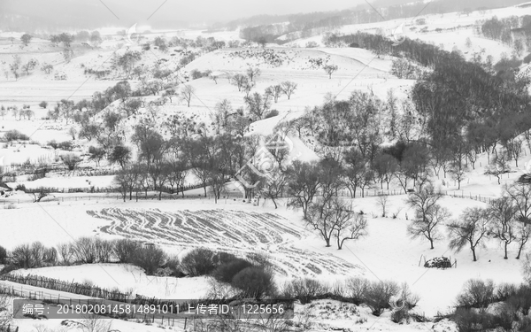 冬雪蛤蟆坝