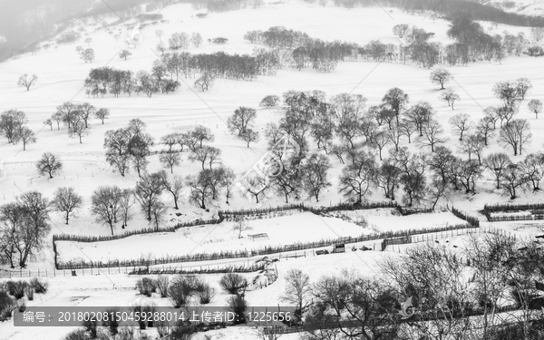 大雪来到蛤蟆坝