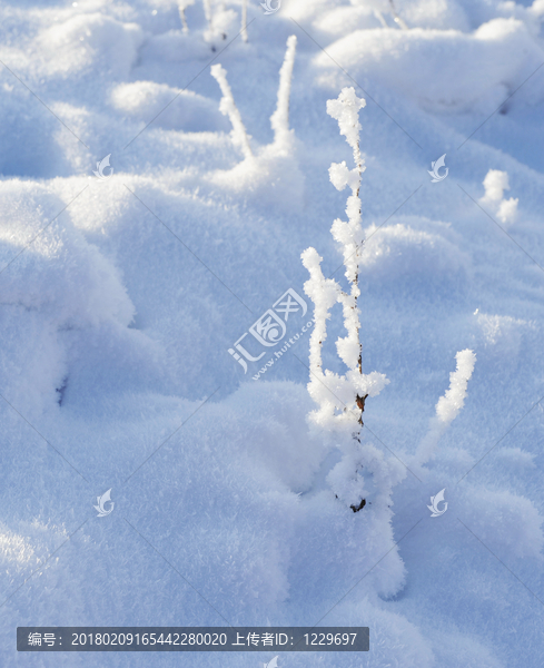 冰雪,光影,雪花,纯洁,秀美