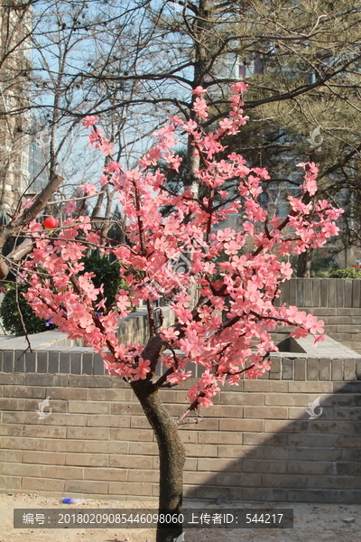 塑料梅花花树