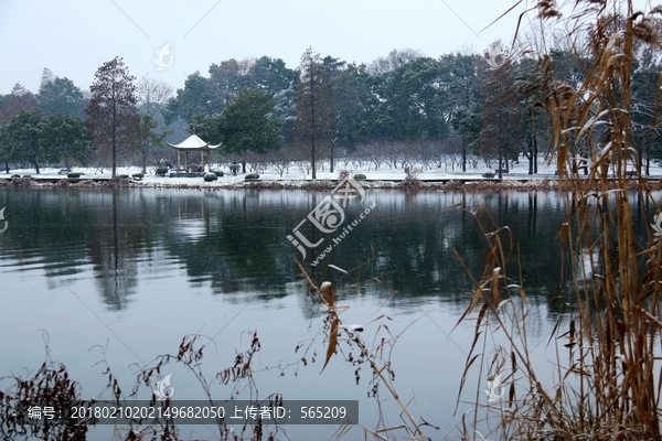 梅园雪景