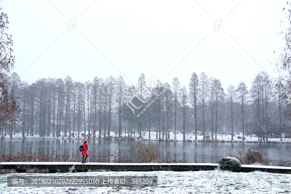 梅园雪景