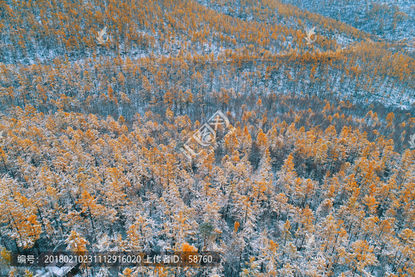 林海秋雪,航拍