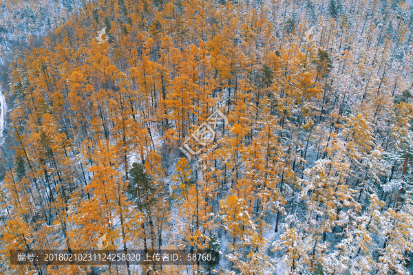 林海秋雪,航拍