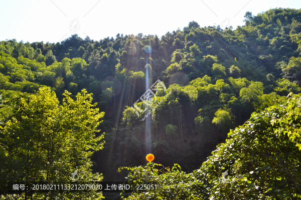 夏霖,风景区