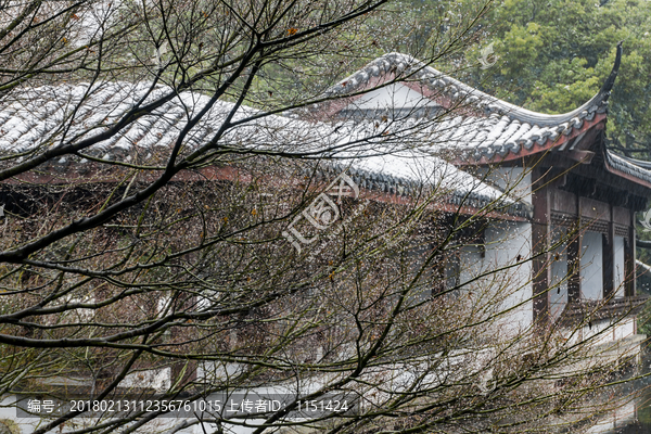 西湖雪景