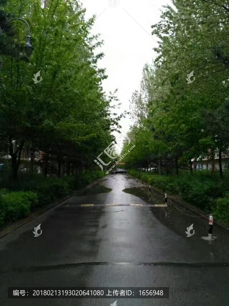 雨后小道