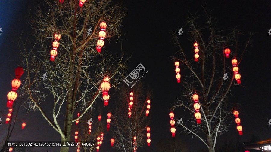 新春灯会,灯会,花灯,灯笼