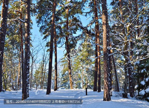 冰雪覆盖