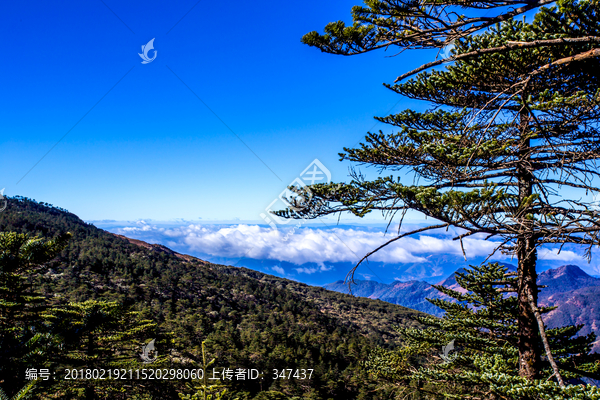 云南轿子雪山景区