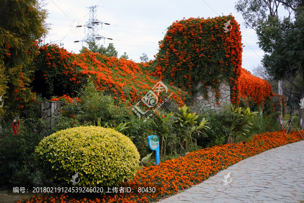 忠侖公園