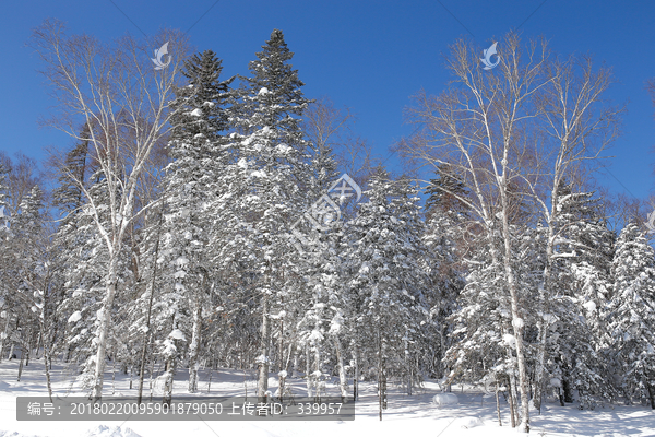 雪乡全景,中国雪乡,雪乡