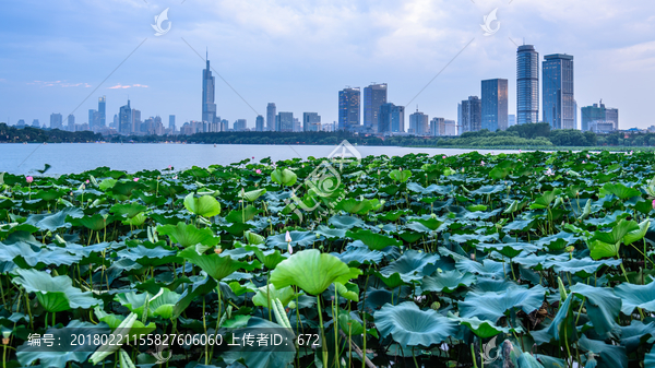 南京玄武湖风光