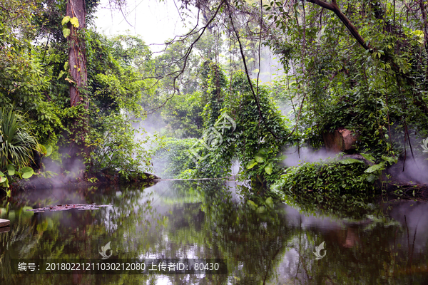 热带雨林植物园区