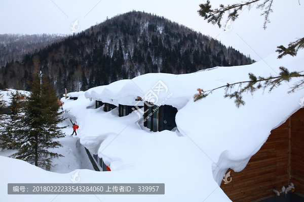 雪乡全景,中国雪乡,雪乡