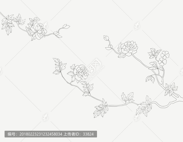 牡丹