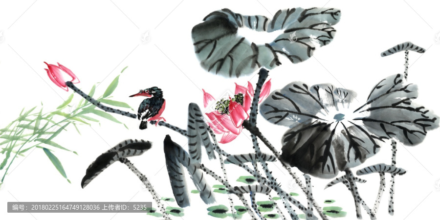 寫意荷花